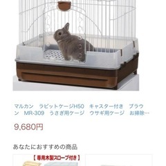 小動物用ケージの画像