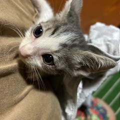 ずっとのお家を探してます