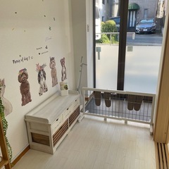 犬の幼稚園　犬のしつけ教室の画像
