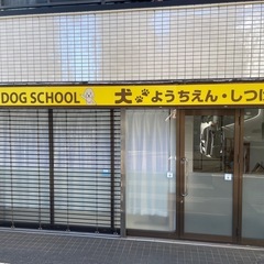 犬の幼稚園　犬のしつけ教室の画像