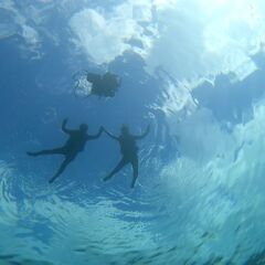 ９月３０日、１０月５日、１９日、真鶴シュノーケル、スキンダイビング