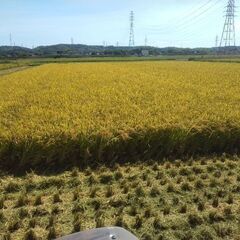 草刈り　稲刈り　野菜作り　畑　田んぼ