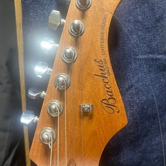 BACCHUS バッカス GS-2DX RSM/M BLK の画像