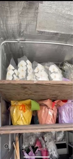 胡蝶蘭 花 綺麗 インテリア コチョウラン 大量 安い 引き取り