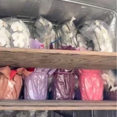 胡蝶蘭 花 綺麗 インテリア コチョウラン 大量 安い 引き取りの画像