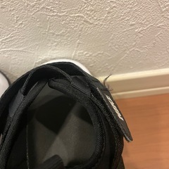 ナイキ NIKEキャニオンサンダルの画像