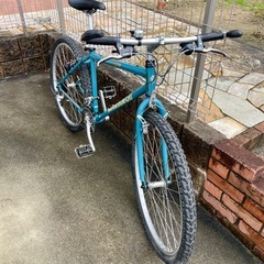 マウンテンキャット パナソニック　OLD MTB オールドMTB 整備　部品交換済の画像