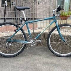 マウンテンキャット パナソニック　OLD MTB オールドMTB 整備　部品交換済の画像