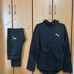 PUMAセットアップの画像