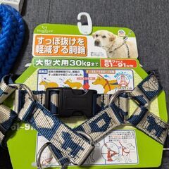✨おまけつき✨ワンちゃんリード、ハーネス🐕️の画像