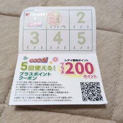 レディ薬局 プラス ポイント券の画像