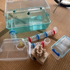 ハムスター飼育セットの画像