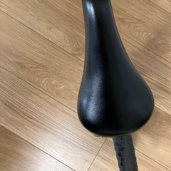 ストライダーの画像