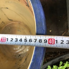 水溜めツボの画像