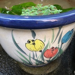 水溜めツボの画像