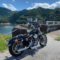 【価格応談可能】ハーレー　2003   XL1200S ETC、キジマキャリア、ベルのヘルメット付 の画像