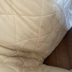 シングル敷布団
の画像