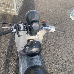TODAY AF61の画像