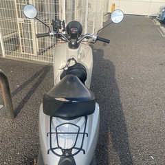 TODAY AF61の画像