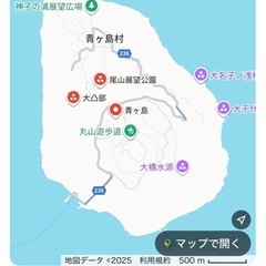 青ヶ島型枠大工出張案件の画像
