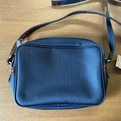 ショルダーバッグ👜POLOLEA GUEカバンポーチバッグオシャレ🍀刺繍付きロゴクラッチバッグ少し汚れアリ💦紺色の画像