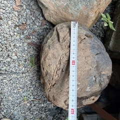 庭石の画像
