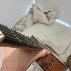 Taylor 114e エレアコの画像