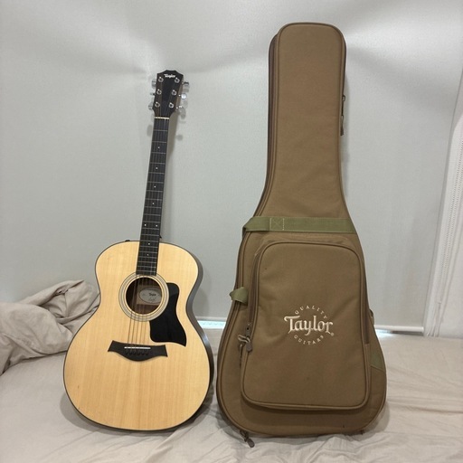 Taylor 114e エレアコ