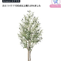 観葉植物(フェイクグリーン)の画像