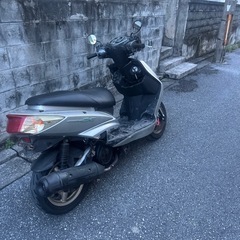 シグナスxの画像