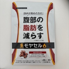 モヤセル、モヤセル乳酸菌の画像