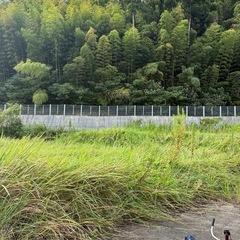 草刈り手伝ってください🙇‍♂️