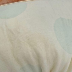 サンデシカ　抱き枕　授乳用クッションラージサイズの画像