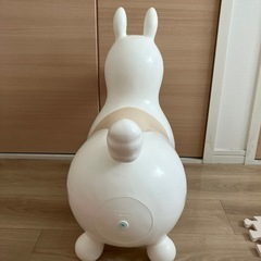 ロディ ホワイトの画像
