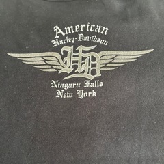 ハーレーダビットソン　tシャツの画像