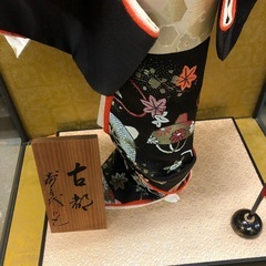 ケース付き人形‼️早く取りに来られる方に優先‼️無料❣️の画像