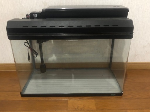 ショップ 【79】◇ベテラン作家・好本宗峯先生 備前焼須恵長頸瓶 共