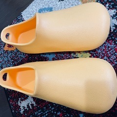 バスシューズの画像