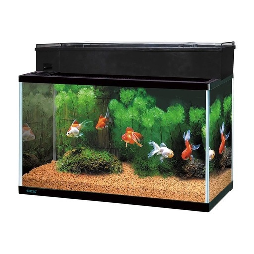 水槽　ライト　フィルター　あげます