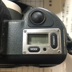 かめらの画像