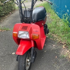 🔥超レア物、ホンダスカッシュ50ccAB11-105755メーター読み5724の画像