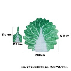 白菜おくるみの画像
