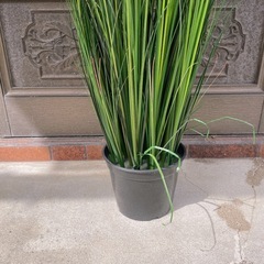 FEJKA フェイカ 人工観葉植物, グラス, 17 cmの画像