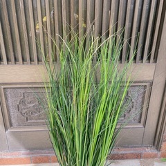 FEJKA フェイカ 人工観葉植物, グラス, 17 cmの画像