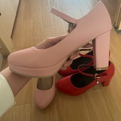 未使用　Lサイズパンプスセットの画像