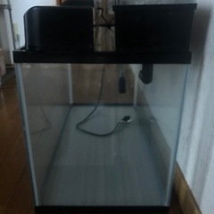 ④ 60cm水槽の画像