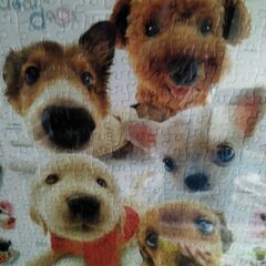 犬パズル🧩の画像