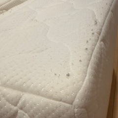 折りたたみシングルベッドの画像