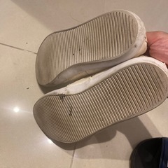 ラコステ  スリッポンの画像