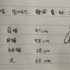 韓国ブラウス (大きいサイズ)の画像